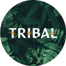 Tribal- The convenient alternative to raw feeding and the world’s first cold pressed dog food made with fresh meat!