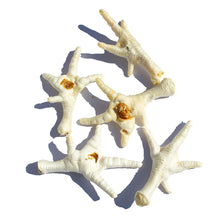Load image into Gallery viewer, Puffed Chicken Feet 1kg