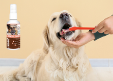 Load image into Gallery viewer, LUCAA+ Pet Probiotic Dental Care - 100ml Spray