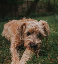 Load image into Gallery viewer, Anco Naturals Cow Horn Marrows