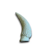 Load image into Gallery viewer, Anco Naturals Cow Horn Marrows