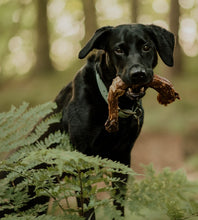 Load image into Gallery viewer, Turkey Neck Air Dried 1 piece