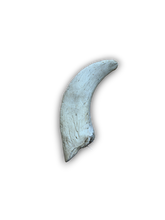 Load image into Gallery viewer, Anco Naturals Lamb Horn Marrow