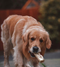 Load image into Gallery viewer, Anco Naturals Goat Rolls Medium