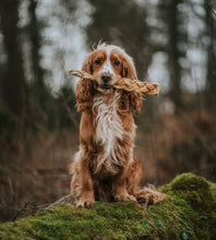 Load image into Gallery viewer, Anco Naturals Buffalo Braids Large