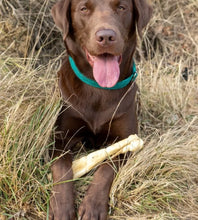 Load image into Gallery viewer, Anco Naturals Buffalo Roll Large