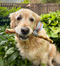 Load image into Gallery viewer, Anco Naturals Beef and Camel Braided Roll Large