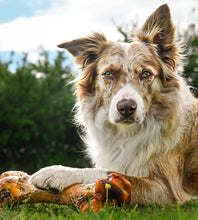 Load image into Gallery viewer, Anco Naturals Ostrich Dino Bones