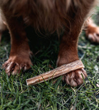 Load image into Gallery viewer, Bulls Pizzle 12cm