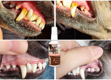 Load image into Gallery viewer, LUCAA+ Pet Probiotic Dental Care - 100ml Spray