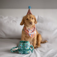 Load image into Gallery viewer, ITS MY BIRTHDAY PRESENT SMALL BLUE
