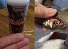 Load image into Gallery viewer, LUCAA+ Pet Probiotic Dental Care - 100ml Spray