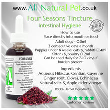 Load image into Gallery viewer, Four Seasons Intestinal Hygiene Tincture 100ml