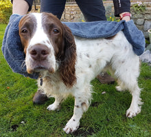 Load image into Gallery viewer, Henry Wag Pet Glove Towel
