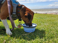 Load image into Gallery viewer, Henry Wag Travel Bowl for Vital Hydration