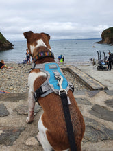 Load image into Gallery viewer, Henry Wag Dog Travel Harness