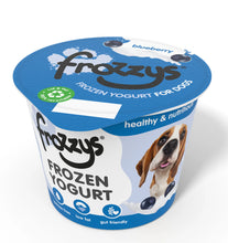 Load image into Gallery viewer, Frozzys Frozen Yogurt - Blueberry