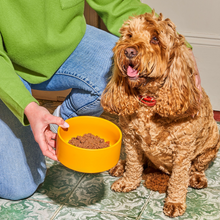 Load image into Gallery viewer, Gently Steamed Recipe - Turkey & Salmon for Senior Dogs 395g