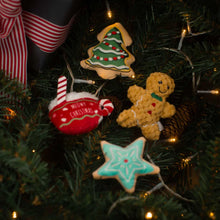 Load image into Gallery viewer, KONG Holiday Cat Scrattle