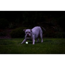 Load image into Gallery viewer, Chuckit! Air Glow Fetch Ball