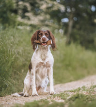 Load image into Gallery viewer, Anco Easy Antlers (Split)