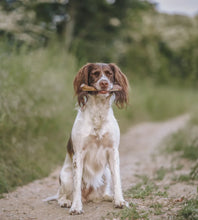 Load image into Gallery viewer, Anco Easy Antlers (Split)