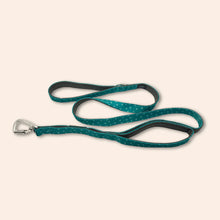 Load image into Gallery viewer, TWIGGY TAGS ADVENTURE LEAD - DISCONTINUED LINES - REDUCED TO CLEAR