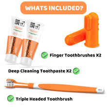 Load image into Gallery viewer, Dogslife Toothbrushes and Toothpaste