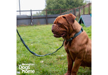 Load image into Gallery viewer, ANCOL EXTREME+ LEAD SHOCK ABSORB 120X2.5CM - REDUCED TO CLEAR