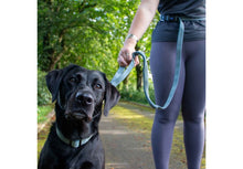 Load image into Gallery viewer, ANCOL EXTREME+ RUNNING LEAD SHOCK ABSORB 180X2.5CM - REDUCED TO CLEAR (Copy)