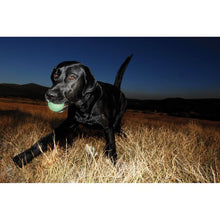 Load image into Gallery viewer, Chuckit! Max Glow Ball XLarge