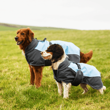 Load image into Gallery viewer, Henry Wag Waterproof Dog Coat
