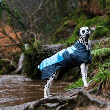 Load image into Gallery viewer, Henry Wag Waterproof Dog Coat