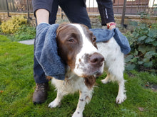 Load image into Gallery viewer, Henry Wag Pet Glove Towel
