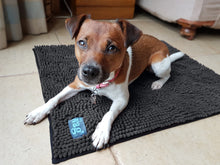 Load image into Gallery viewer, Henry Wag Microfibre Noodle Pet Mat