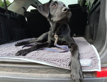 Load image into Gallery viewer, Henry Wag Microfibre Noodle Pet Mat