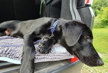 Load image into Gallery viewer, Henry Wag Microfibre Noodle Pet Mat