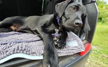 Load image into Gallery viewer, Henry Wag Microfibre Noodle Pet Mat