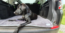 Load image into Gallery viewer, Henry Wag Microfibre Noodle Pet Mat