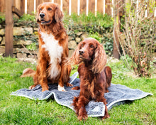 Load image into Gallery viewer, Henry Wag Microfibre Noodle Pet Mat