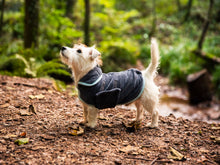 Load image into Gallery viewer, Henry Wag Drying Coat