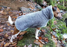 Load image into Gallery viewer, Henry Wag Drying Coat