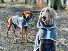 Load image into Gallery viewer, Henry Wag Drying Coat