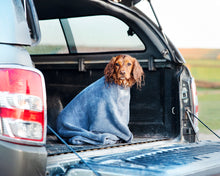 Load image into Gallery viewer, Henry Wag Dog Drying Bag