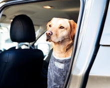 Load image into Gallery viewer, Henry Wag Dog Drying Bag