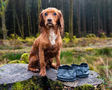 Load image into Gallery viewer, Henry Wag Snaffle Pack Portable Pet Bowl Set