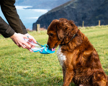 Load image into Gallery viewer, Henry Wag Pet Water Bottle With Leaf Bowl