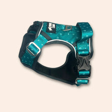 Load image into Gallery viewer, TWIGGY TAGS ADVENTURE HARNESS - DISCONTINUED LINES - REDUCED TO CLEAR