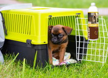 Load image into Gallery viewer, LUCAA+ Pet Probiotic Stay Cleaner Concentrate 1LTR