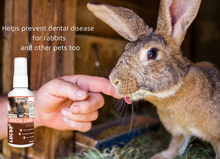 Load image into Gallery viewer, LUCAA+ Pet Probiotic Dental Care - 100ml Spray